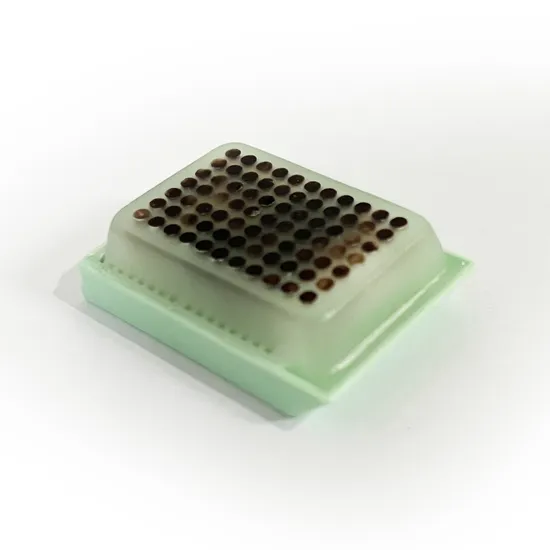 科学的研究材料試験に使用される使い捨ての医療用品組織マイクロアレイブロック